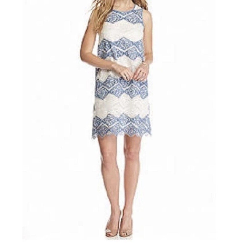 Sleeveless Stretch Lace Dress Small  Blue/White Shift Max Studio Sophie $128